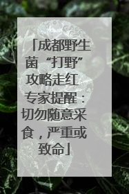 成都野生菌“打野”攻略走红 专家提醒：切勿随意采食，严重或致命