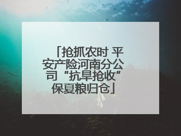 抢抓农时 平安产险河南分公司“抗旱抢收”保夏粮归仓