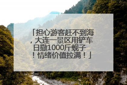 担心游客赶不到海，大连一景区用铲车日撒1000斤蚬子！情绪价值拉满！