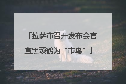 拉萨市召开发布会官宣黑颈鹤为“市鸟”