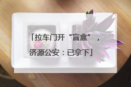 拉车门开“盲盒”，济源公安：已拿下