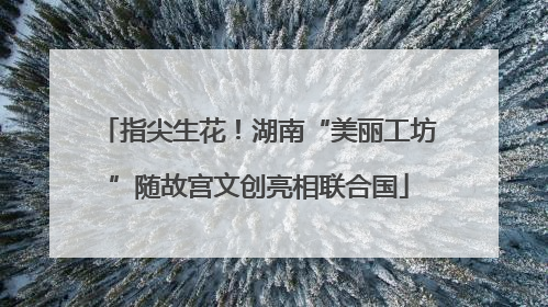 指尖生花！湖南“美丽工坊”随故宫文创亮相联合国