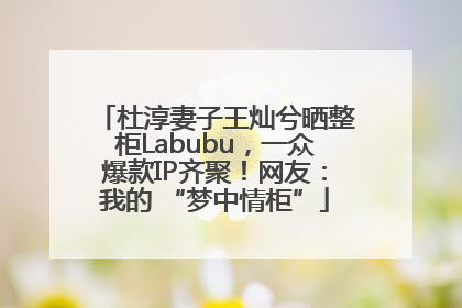 杜淳妻子王灿兮晒整柜Labubu，一众爆款IP齐聚！网友：我的 “梦中情柜”