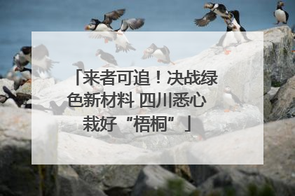 来者可追！决战绿色新材料 四川悉心栽好“梧桐”