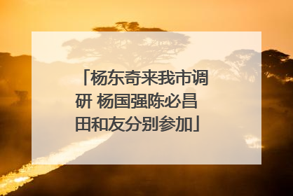 杨东奇来我市调研 杨国强陈必昌田和友分别参加