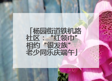 杨园街道铁机路社区：“红领巾”相约“银发族” 老少同乐庆端午