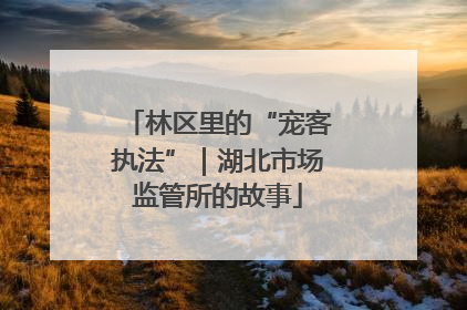 林区里的“宠客执法”｜湖北市场监管所的故事