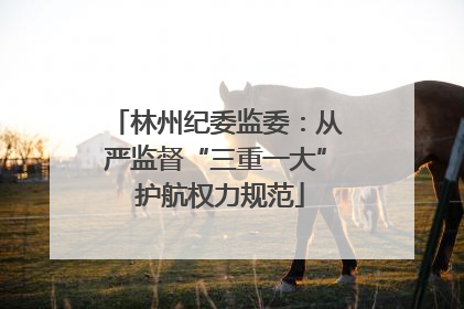 林州纪委监委：从严监督“三重一大” 护航权力规范