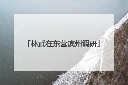 林武在东营滨州调研