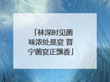 林深时见菌 味浓处是宴 晋宁菌宴正飘香