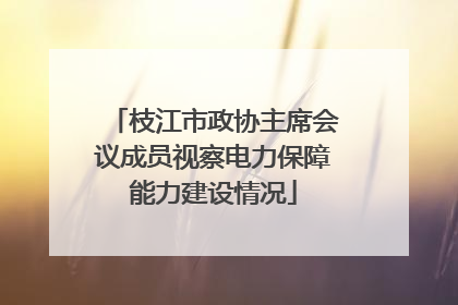 枝江市政协主席会议成员视察电力保障能力建设情况