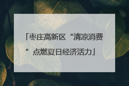 枣庄高新区“清凉消费”点燃夏日经济活力