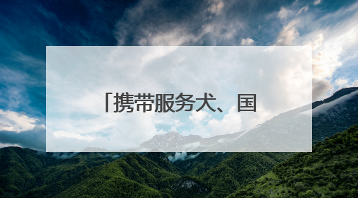 携带服务犬、国际客票预订……鸿蒙版中国国航让更多用户心愿成真