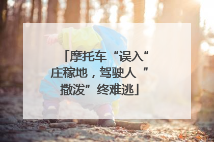 摩托车“误入”庄稼地，驾驶人“撒泼”终难逃