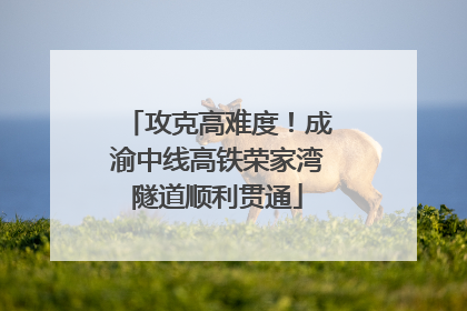 攻克高难度！成渝中线高铁荣家湾隧道顺利贯通