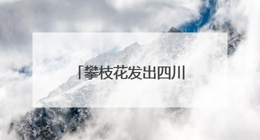 攀枝花发出四川首张“户籍人口直系亲属关系谱”