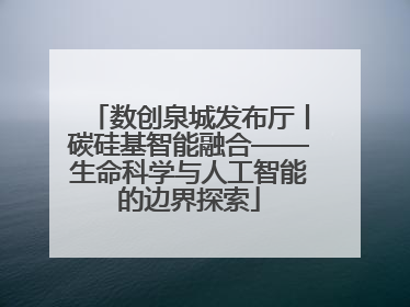 数创泉城发布厅丨碳硅基智能融合——生命科学与人工智能的边界探索
