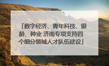 数字经济、青年科技、银龄、种业 济南专项支持四个细分领域人才队伍建设