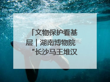 文物保护看基层｜湖南博物院“长沙马王堆汉墓陈列”展