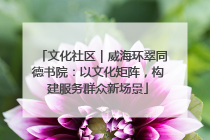 文化社区｜威海环翠同德书院：以文化矩阵，构建服务群众新场景