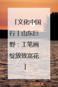 文化中国行丨山东巨野：工笔画绽放致富花