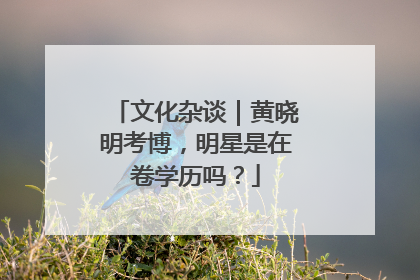 文化杂谈｜黄晓明考博，明星是在卷学历吗？