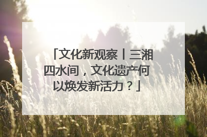 文化新观察丨三湘四水间，文化遗产何以焕发新活力？