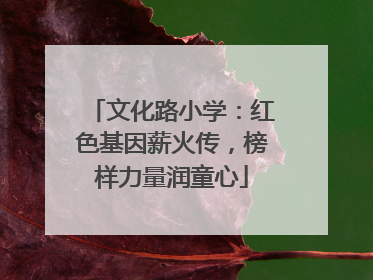 文化路小学：红色基因薪火传，榜样力量润童心