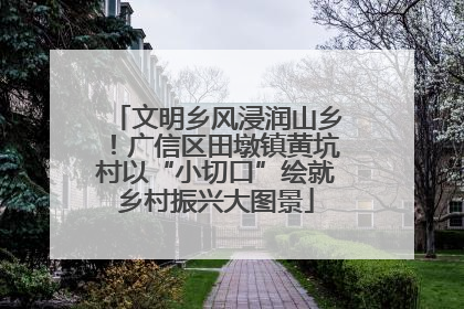 文明乡风浸润山乡！广信区田墩镇黄坑村以“小切口”绘就乡村振兴大图景