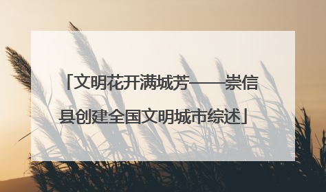 文明花开满城芳——崇信县创建全国文明城市综述