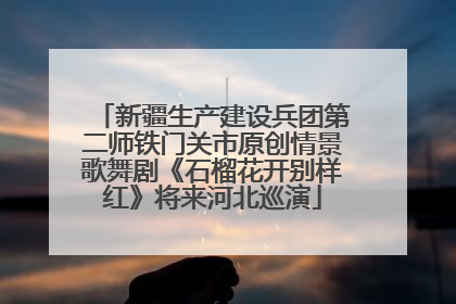 新疆生产建设兵团第二师铁门关市原创情景歌舞剧《石榴花开别样红》将来河北巡演