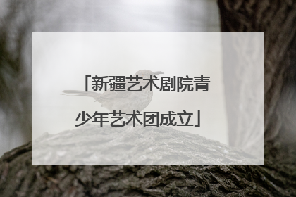 新疆艺术剧院青少年艺术团成立