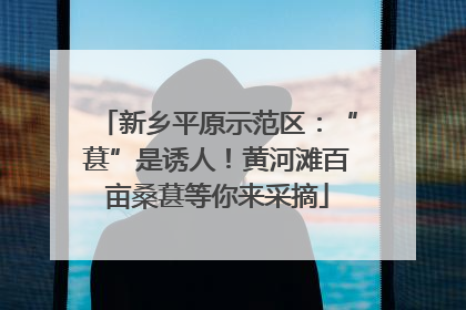 新乡平原示范区：“葚”是诱人！黄河滩百亩桑葚等你来采摘