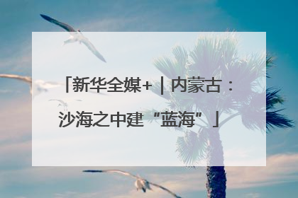新华全媒+｜内蒙古：沙海之中建“蓝海”