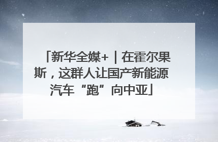 新华全媒+｜在霍尔果斯，这群人让国产新能源汽车“跑”向中亚