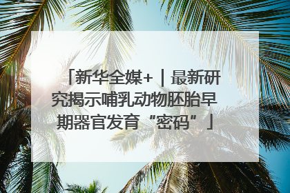 新华全媒+｜最新研究揭示哺乳动物胚胎早期器官发育“密码”