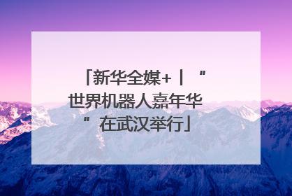 新华全媒+丨“世界机器人嘉年华”在武汉举行