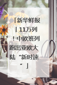 新华鲜报丨11万列！中欧班列跑出亚欧大陆“新时速”
