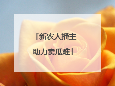 新农人播主 助力卖瓜难