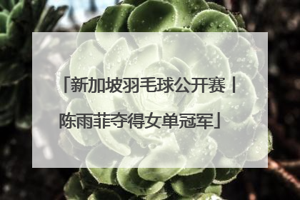 新加坡羽毛球公开赛丨陈雨菲夺得女单冠军