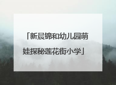 新晨锦和幼儿园萌娃探秘莲花街小学