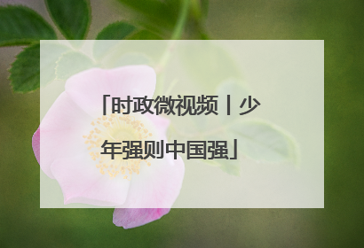 时政微视频丨少年强则中国强