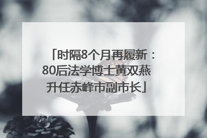 时隔8个月再履新：80后法学博士黄双燕升任赤峰市副市长