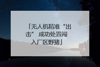 无人机精准“出击” 成功处置闯入厂区野猪