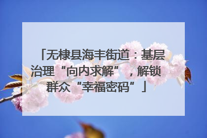 无棣县海丰街道：基层治理“向内求解”，解锁群众“幸福密码”