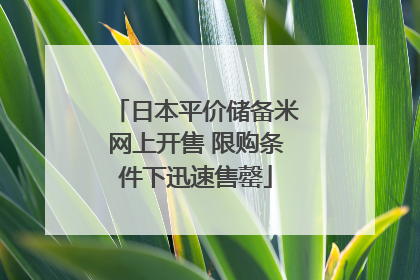 日本平价储备米网上开售 限购条件下迅速售罄