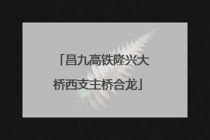 昌九高铁隆兴大桥西支主桥合龙