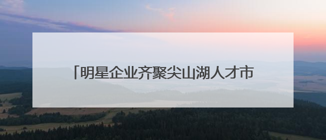 明星企业齐聚尖山湖人才市场，这场招聘会需求真挺多