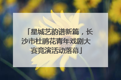 星城艺韵谱新篇，长沙市杜鹃花青年戏剧大赛竞演活动落幕