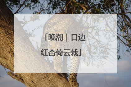 晚潮｜日边红杏倚云栽